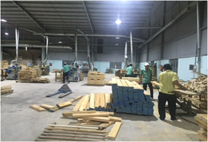 Quy trình sản xuất và chế biến gỗ
